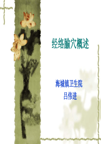 经络腧穴概述PPT下载