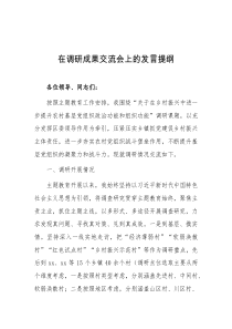 在调研成果交流会上的发言提纲