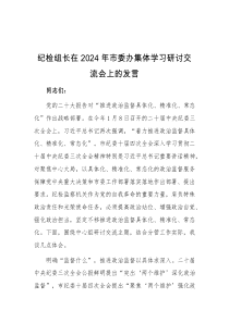 纪检组长在2024年市委办集体学习研讨交流会上的发言