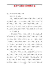 党史学习剖析材料集聚5篇