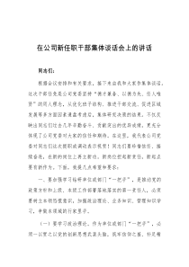 在公司新任职干部集体谈话会上的讲话