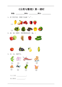 第三单元 分类与整理 第一课时 练习