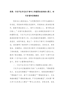 党课习总书记关于青年工作重要论述的核心要义时代价值和实践路径