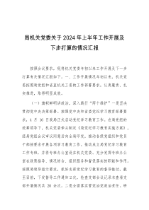 局机关党委关于2024年上半年工作开展及下步打算的情况汇报