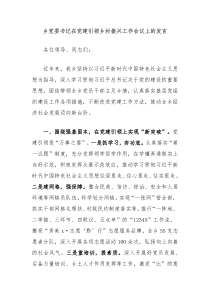 (领导发言)乡党委书记在党建引领乡村振兴工作会议上的发言