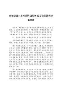 经验交流旗帜领航强根铸魂奋力打造党建新高地