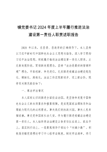 镇党委书记2024年度上半年履行推进法治建设第一责任人职责述职报告