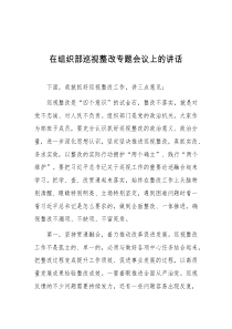 在组织部巡视整改专题会议上的讲话