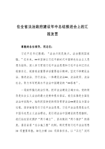 在全省法治政府建设年中总结推进会上的汇报发言