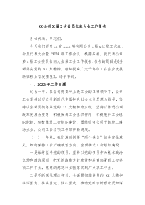 XX公司X届X次会员代表大会工作报告