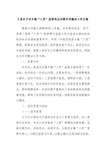 X县关于对乡镇三资监管突出问题专项整治工作方案