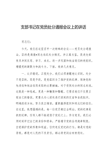 支部书记在党员处分通报会议上的讲话