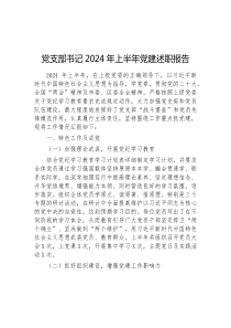 党支部书记2024年上半年党建述职报告