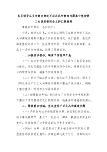 某县领导在全市群众身边不正之风和腐败问题集中整治第二次调度推进会上的汇报材料