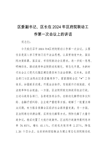 区委副书记区长在2024年区府院联动工作第一次会议上的讲话