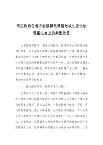 市民政局在省农村殡葬改革暨散坟生态化治理推进会上的典型发言