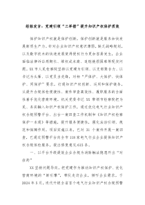 经验发言党建引领三举措提升知识产权保护质效