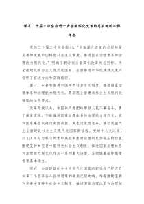 学习二十届三中全会进一步全面深化改革的总目标的心得体会3