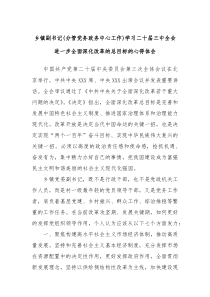 乡镇副书记分管党务政务中心工作学习二十届三中全会进一步全面深化改革的总目标的心得体会