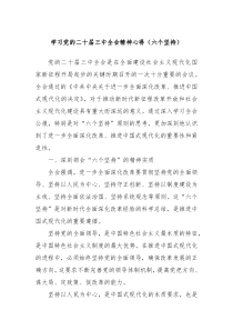 学习党的二十届三中全会精神心得六个坚持