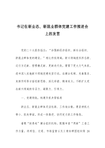 书记在新业态新就业群体党建工作推进会上的发言