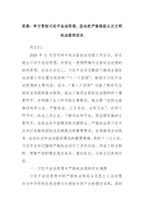 党课学习贯彻习近平法治思想坚决把严格规范公正文明执法落到实处