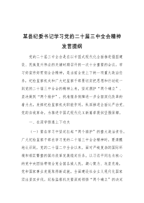 某县纪委书记学习党的二十届三中全会精神发言提纲