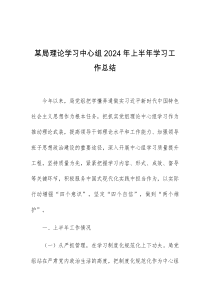 某局理论学习中心组2024年上半年学习工作总结