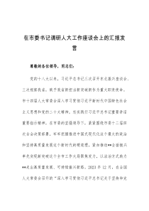 在市委书记调研人大工作座谈会上的汇报发言