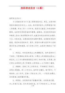 挂职表态发言（4篇）