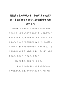 (领导发言)团县委在宣传思想文化工作会议上的交流发言多措并举加强两企三新领域青年思想政治工作