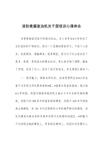 消防救援政治机关干部培训心得体会