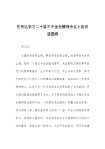 (发言材料)在传达学习二十届三中全会精神会议上的讲话提纲