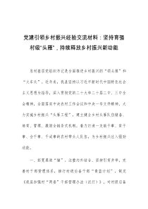 党建引领乡村振兴经验交流材料坚持育强村级头雁持续释放乡村振兴新动能