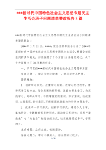 ---新时代中国特色社会主义思想专题民主生活会班子问题清单整改报告3篇