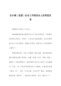 (领导发言)在乡镇街道社会工作推进会上的典型发言