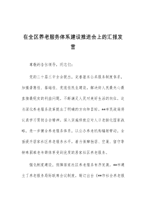 (领导发言)在全区养老服务体系建设推进会上的汇报发言