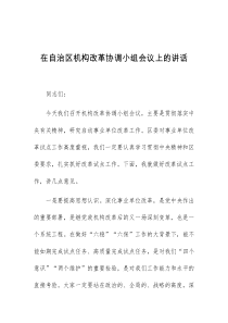 (讲话材料)在自治区机构改革协调小组会议上的讲话