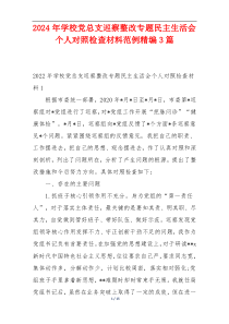 2024年学校党总支巡察整改专题民主生活会个人对照检查材料范例精编3篇