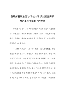 (领导发言)在破解基层治理小马拉大车突出问题专项整治工作交流会上的发言