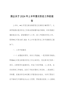 国企关于2024年上半年意识形态工作的报告