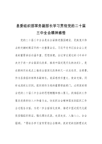 县委组织部常务副部长学习贯彻党的二十届三中全会精神感悟