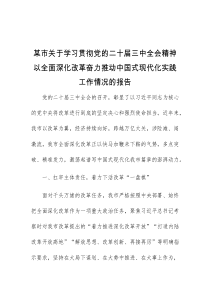 某市关于学习贯彻党的二十届三中全会精神以全面深化改革奋力推动中国式现代化实践工作情况的报告