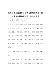 (领导发言)在全市县处级领导干部学习贯彻党的二十届三中全会精神研讨班上的交流发言