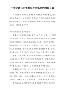 中华民族共同体意识发言稿范例精编3篇