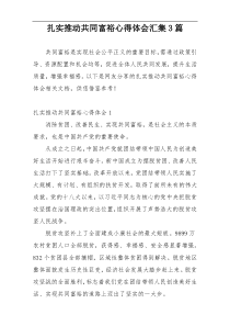 扎实推动共同富裕心得体会汇集3篇