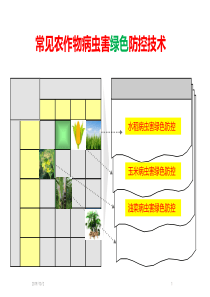 常见农作物玉米、油菜绿色防控技术