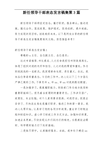 新任领导干部表态发言稿集聚3篇