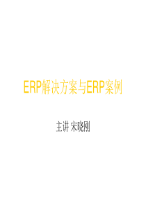 ERP解决方案5-2