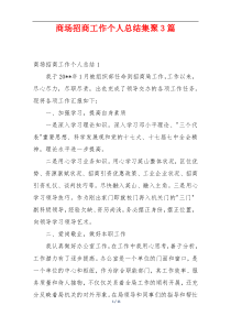 商场招商工作个人总结集聚3篇